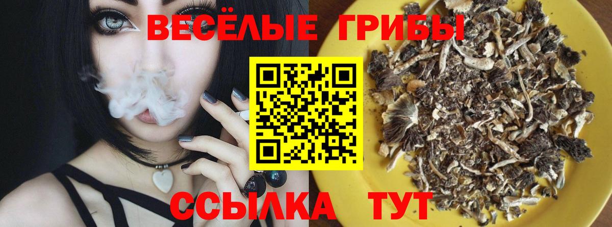 где продают   Вход с VPN  Юрга  Галлюциногенные грибы ЛСД 